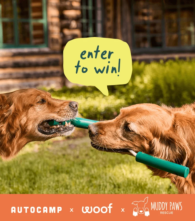 Summer Adventure Sweepstakes